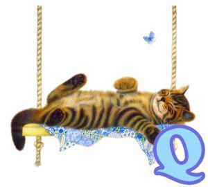 chat94884-17.jpg