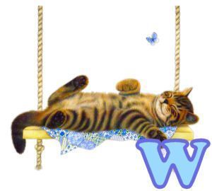chat94884-23.jpg