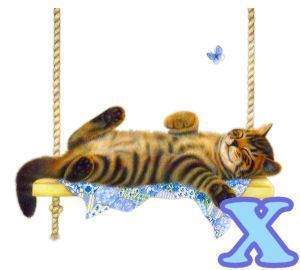 chat94884-24.jpg