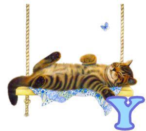 chat94884-25.jpg