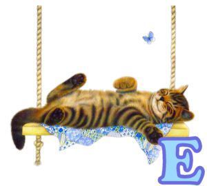 chat94884-5.jpg