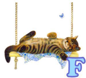 chat94884-6.jpg