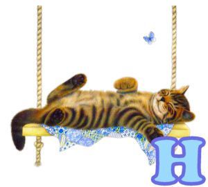 chat94884-8.jpg