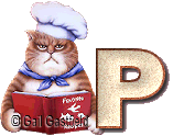 chatGG-KitchenCat-A-16.gif