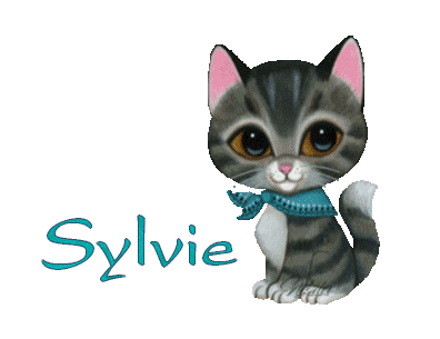 chat_bandanableu_sylvie.gif