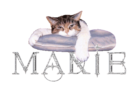 chat_coussin_marie.gif