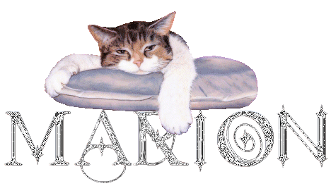 chat_coussin_marion.gif