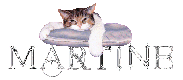 chat_coussin_martine.gif
