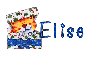 chat_dansboite_elise.gif