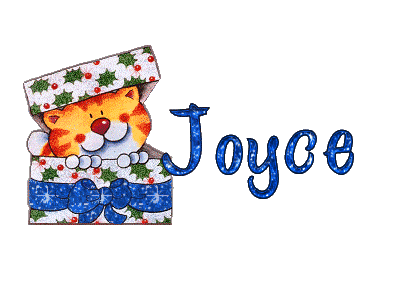 chat_dansboite_joyce.gif
