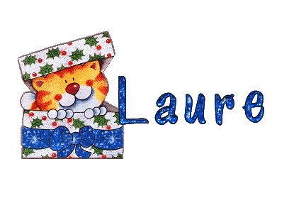 chat_dansboite_laure.gif