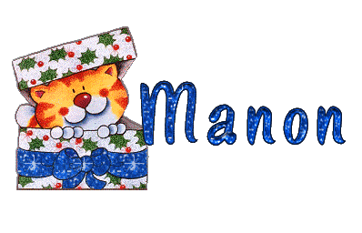 chat_dansboite_manon.gif