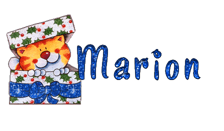 chat_dansboite_marion.gif