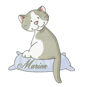 chat_gris_coussin_marion.gif