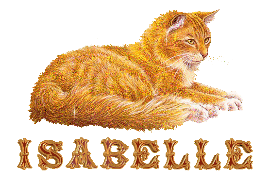 chat_roux_isabelle.gif