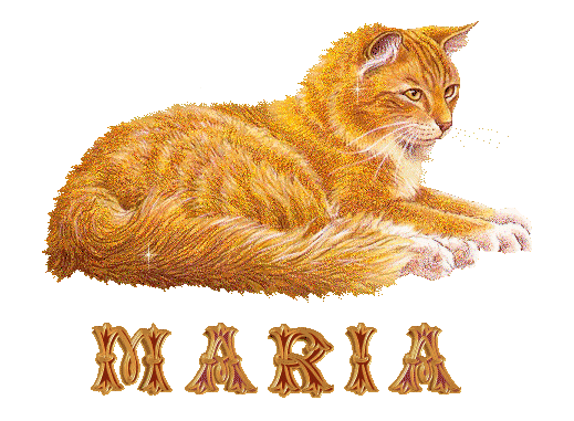 chat_roux_maria.gif