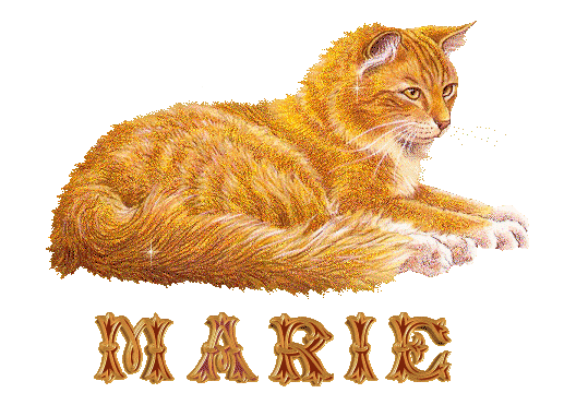 chat_roux_marie.gif