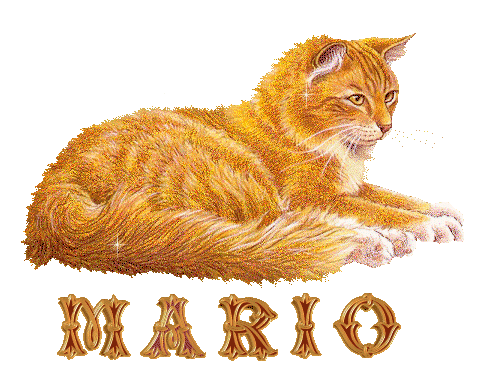 chat_roux_mario.gif