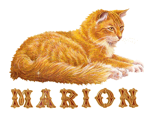 chat_roux_marion.gif