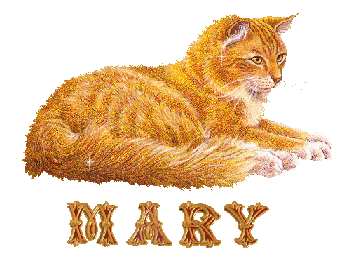 chat_roux_mary.gif