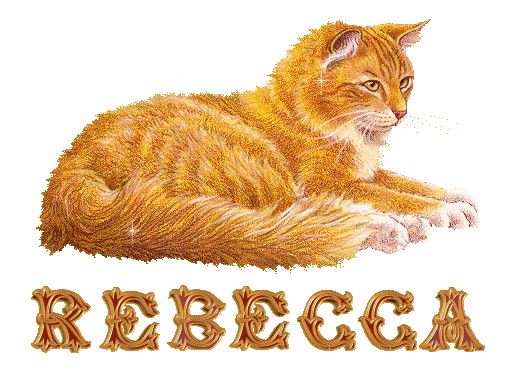 chat_roux_rebecca.gif