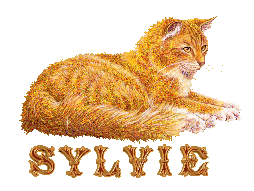 chat_roux_sylvie.gif