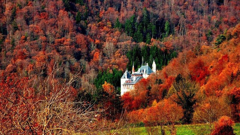 chateau-en-automne_74064.jpg