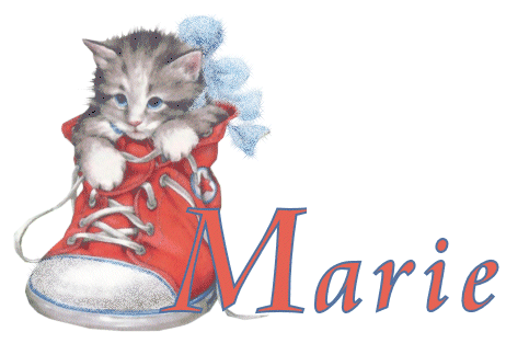 chaton_basket_marie.gif