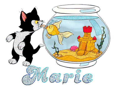 chaton_etpoissonrouge_marie.gif