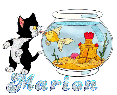 chaton_etpoissonrouge_marion.gif
