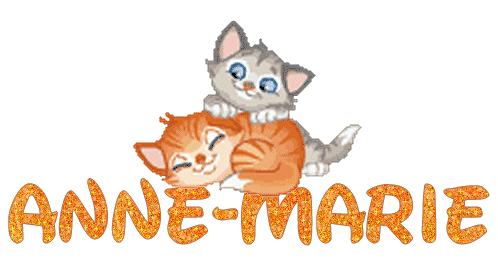 chatons_gris_et_roux_anne_marie.gif