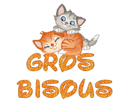 chatons_gris_et_roux_bisous_gros.gif