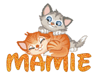 chatons_gris_et_roux_mamie.gif