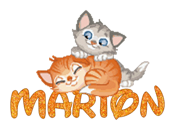 chatons_gris_et_roux_marion.gif