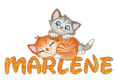 chatons_gris_et_roux_marlene_1.gif