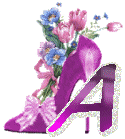 chausss-43854959-1.gif