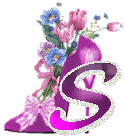 chausss-43854959-19.gif