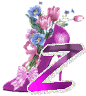 chausss-43854959-26.gif