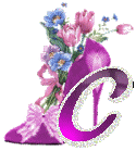 chausss-43854959-3.gif
