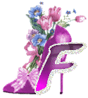 chausss-43854959-6.gif