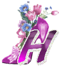 chausss-43854959-8.gif