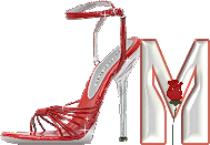 chaussure-049-13.gif