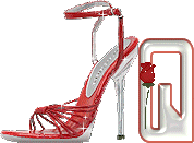 chaussure-049-17.gif