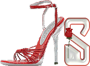 chaussure-049-19.gif