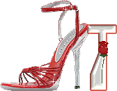 chaussure-049-20.gif