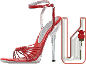 chaussure-049-21.gif
