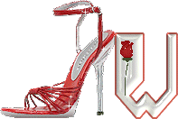 chaussure-049-23.gif