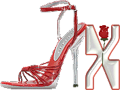 chaussure-049-24.gif