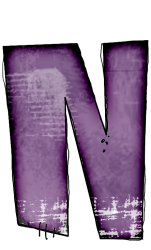 chauve-6565565665-14.png