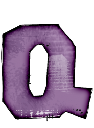 chauve-6565565665-17.png